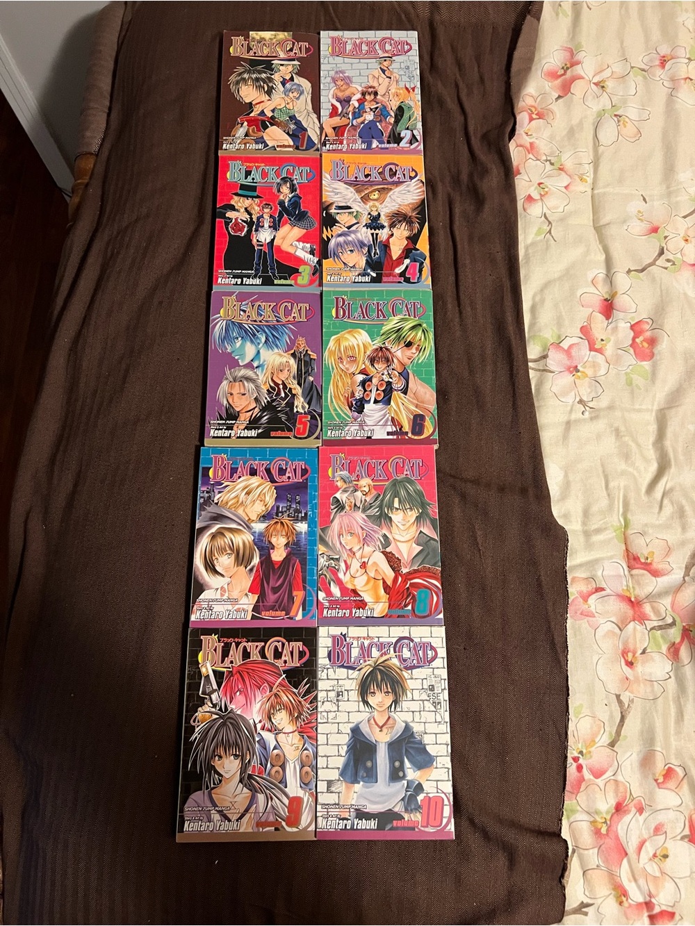 Black Cat Manga Paperback Volume 1-10 Kentaro Yabuki